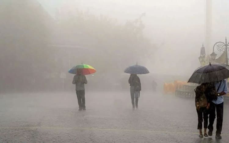 Rajasthan Rain: राजस्थान के इन 10 जिलों में भयंकर सर्दी, बारिश और ओलावृष्टि से बिगड़ा मौसम, कब तक रहेगा पश्चिमी विक्षोभ का असर