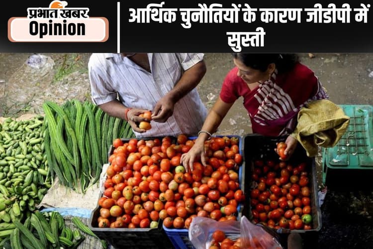 घरेलू नीतियों से जीडीपी वृद्धि को देनी होगी गति