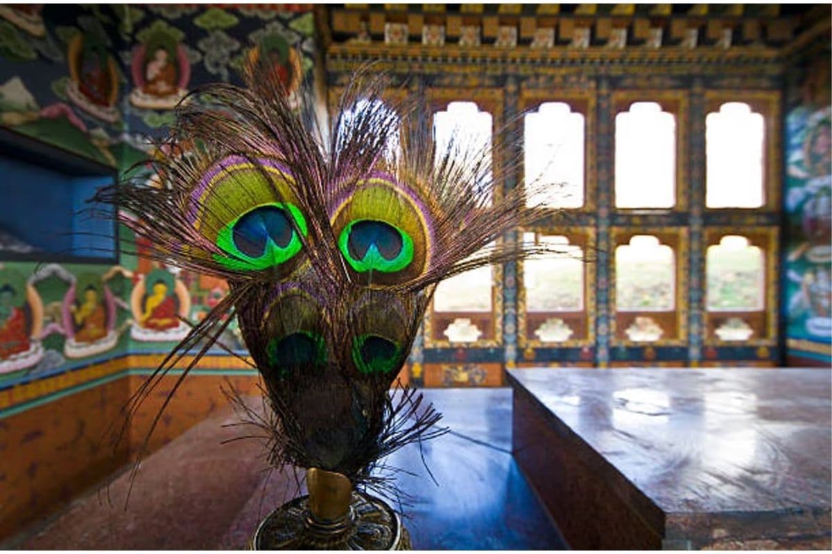 Good Luck At Home : घर में यहां रखें कान्हा का मोर पंख, खिंची चली आएगी मां लक्ष्मी