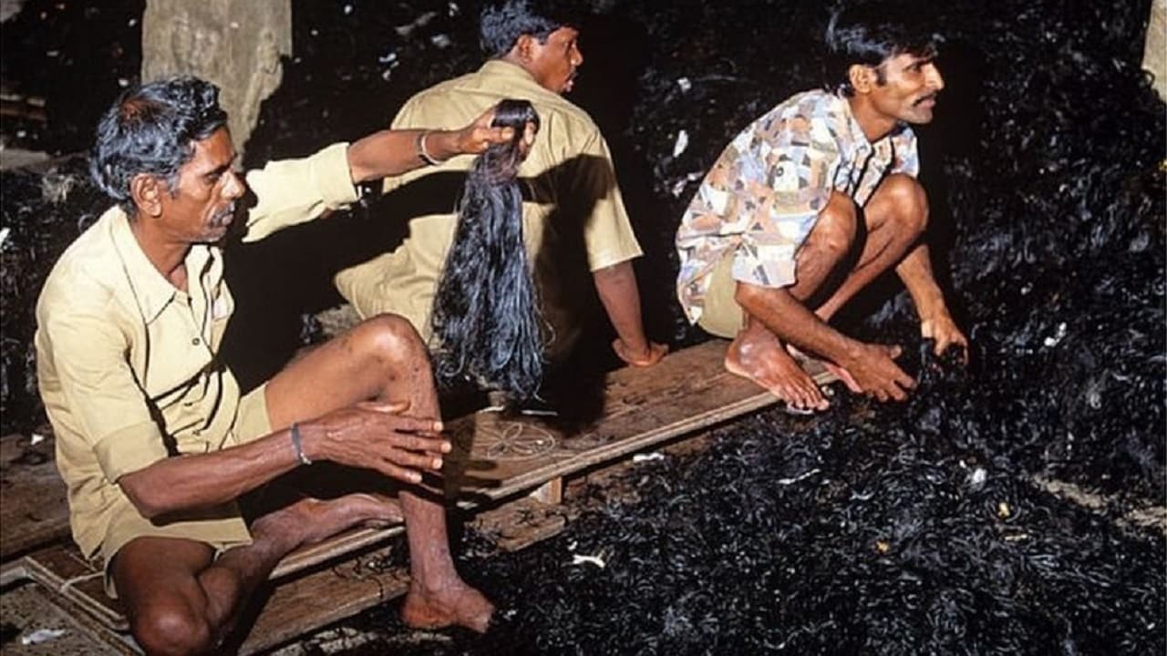 नेपाल बॉर्डर पर सबसे बड़ी बरामदगी, चीन भेजा जा रहा था 1600 किलो इंसानी बाल, तीन तस्कर गिरफ्तार