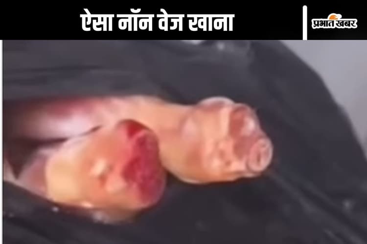 Watch Video : रेस्टोरेंट में नॉन वेज खाने से पहले देख लें ये वीडियो, उल्टी आ जाएगी