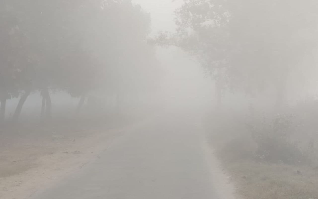 उत्तर भारत से आ रही ठंडी हवाओं और कोहरे ने ढाया कहर, कनकनी बढ़ी, अभी और गिरेगा पारा