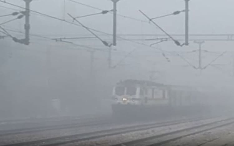 Train News: कोहरे ने लगाया ट्रेनों की रफ्तार पर ब्रेक, तेजस राजधानी से लेकर ये ट्रेन चल रही देर, यात्रियों का बुरा हाल