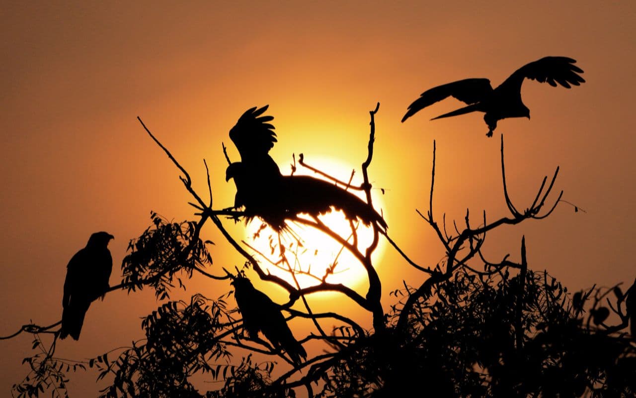 New Years Day Weather: नए साल के पहले दिन ठंड से ठिठुरा झारखंड, 5 जनवरी से फिर बदलेगा मौसम