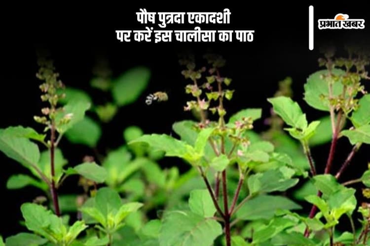 पौष पुत्रदा एकादशी पर जरूर करें चालीसा का पाठ, यहां देखें