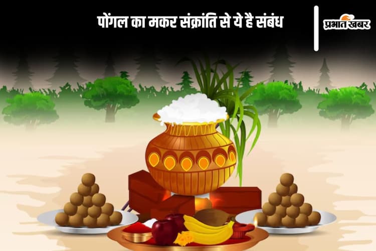 इस दिन मनाया जाएगा पोंगल का त्योहार, जानें मकर संक्रांति से क्या है संबंध