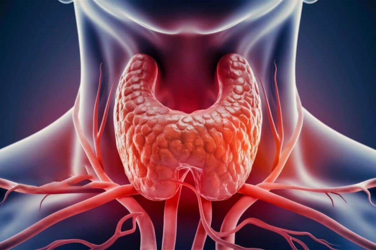 Thyroid Juice Remedy: рдХреНрдпрд╛ рдЖрдк рднреА рдерд╛рдпрд░рд╛рдЗрдб рд╕реЗ рдкрд░реЗрд╢рд╛рди рд╣реИрдВ, рдЗрди 4 рдкрддреНрддреЛрдВ рдХреЗ рд░рд╕ рд╕реЗ рдкрд╛рдПрдВ рд░рд╛рд╣рдд