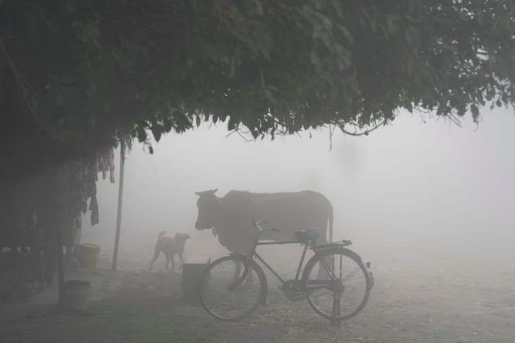 Bihar Weather: कड़ाके की ठंड और कनकनी से इस दिन तक नहीं मिलेगी राहत, जानें IMD का अपडेट