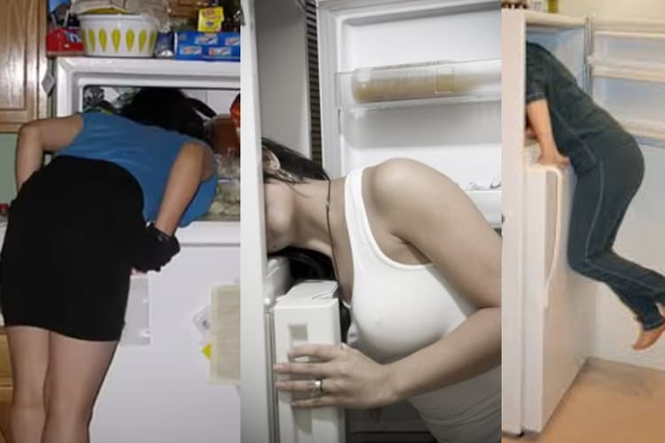 Google Search Facts: गूगल पर 241543903 सर्च करने पर फ्रिज में सिर घुसाए लोग क्यों दिखते हैं?