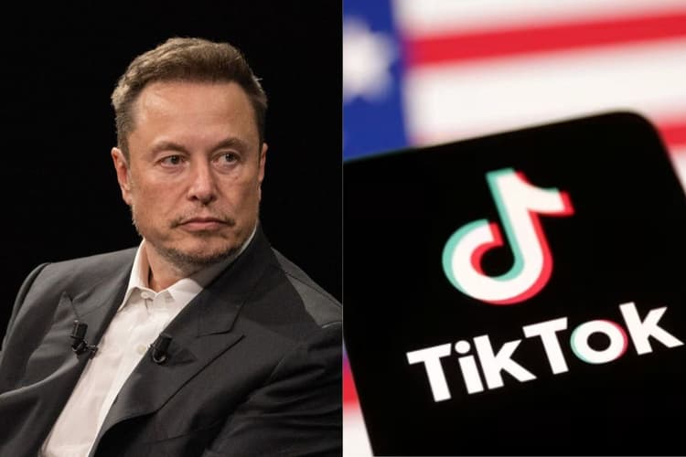 क्या एलन मस्क खरीदेंगे TikTok?