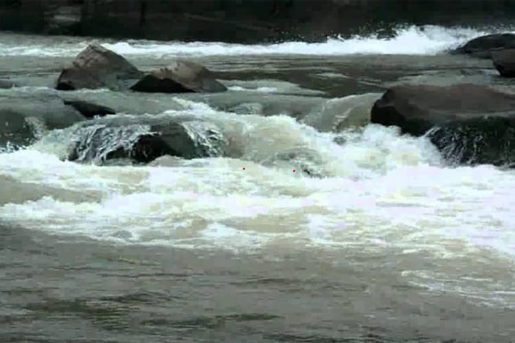 Giridih News: गिरिडीह में तीन दिवसीय उसरी महोत्सव का हुआ उद्घाटन, सरकार लाने जा रही है यह योजना