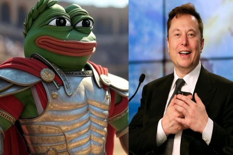 Elon Musk ने फिर बदला अपना नाम, 2 दिन पहले X पर बने थे Kekius Maximus, ये है वजह