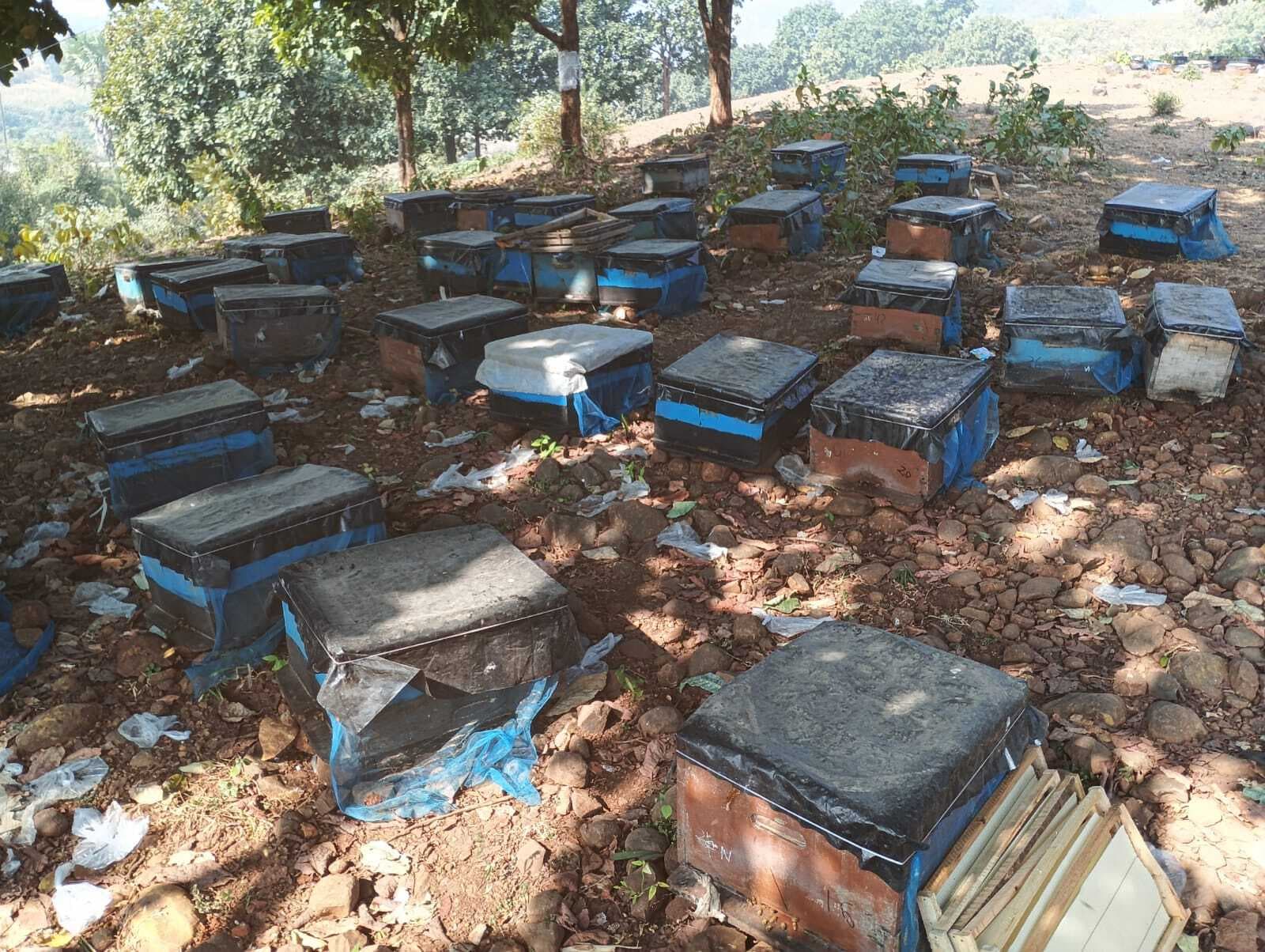 рдордзреБрдордХреНрдЦреА рдкрд╛рд▓рди рдХрд░ рдЖрддреНрдордирд┐рд░реНрднрд░ рдмрдирд╛ рдПрдХ рдордЬрджреВрд░, рдЕрдм рджреВрд╕рд░реЛрдВ рдХреЛ рдХрд░ рд░рд╣рд╛ рдкреНрд░реЗрд░рд┐рдд