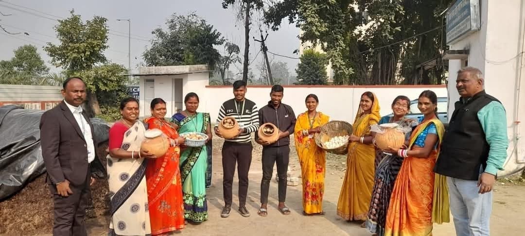 औषधीय गुणों से भरपूर है हीरेशियम मशरूम : डा दयाराम