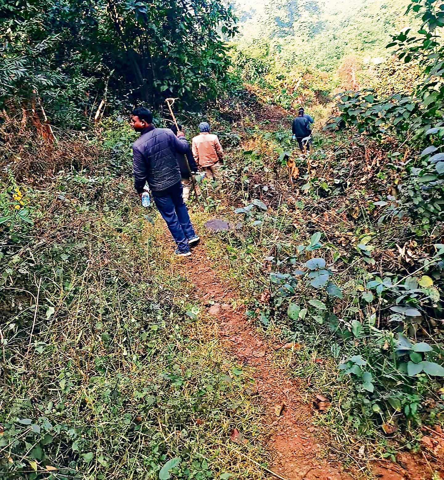 Jamshedpur news. सावधान! बालीडीह और आसपास के एरिया में ही घूम रहा है बाघ
