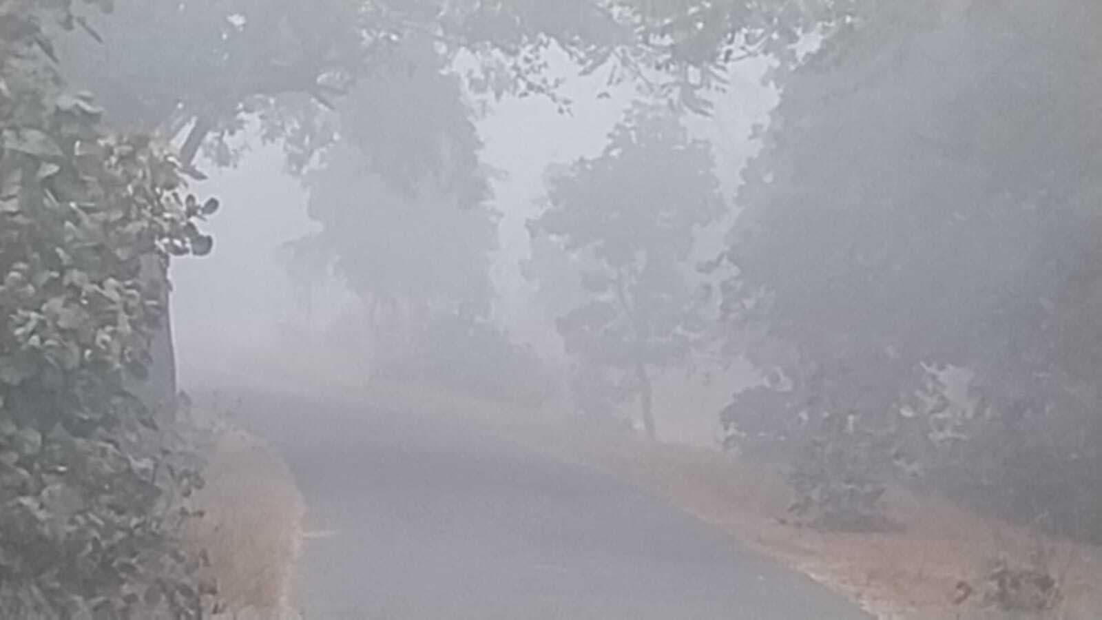 Giridih News :शीतलहर जारी, सुबह में छाया रहा कोहरा