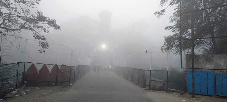 ठंड का सितम : जानलेवा बनी शीतलहर, कोहरे ने लगायी वाहनों की रफ्तार पर ब्रेक