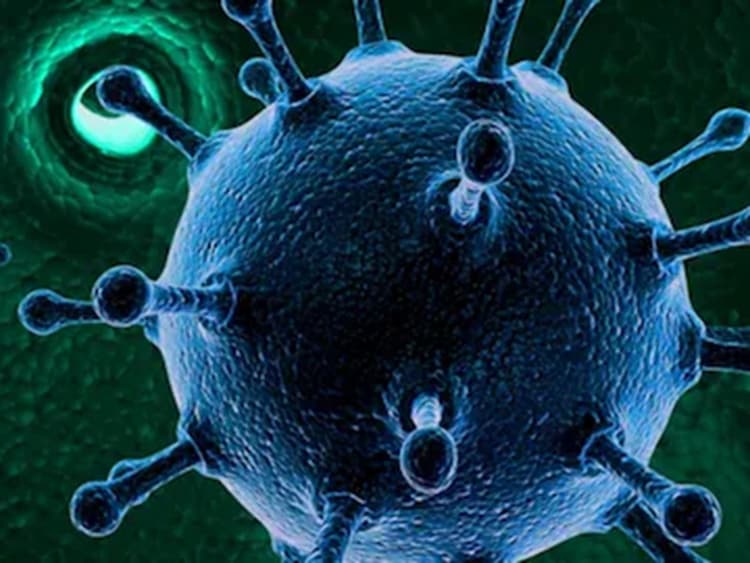 Jamshedpur News : एचएमपीवी वायरस को लेकर सिविल सर्जन ने जिले को किया अलर्ट, बताया क्या करें और क्या ना करें