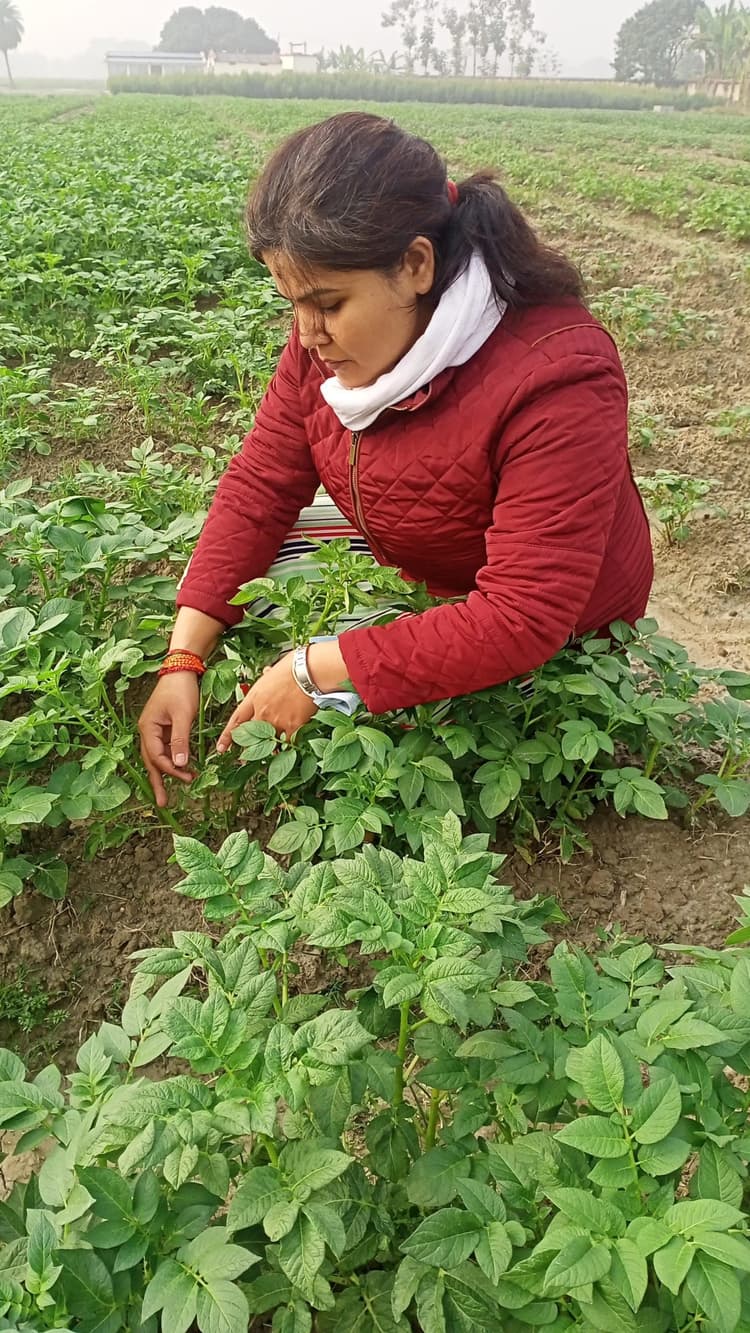 घने कोहरे के बीच सर्द पछुआ हवा ने बरपाया शीतलहर का कहर