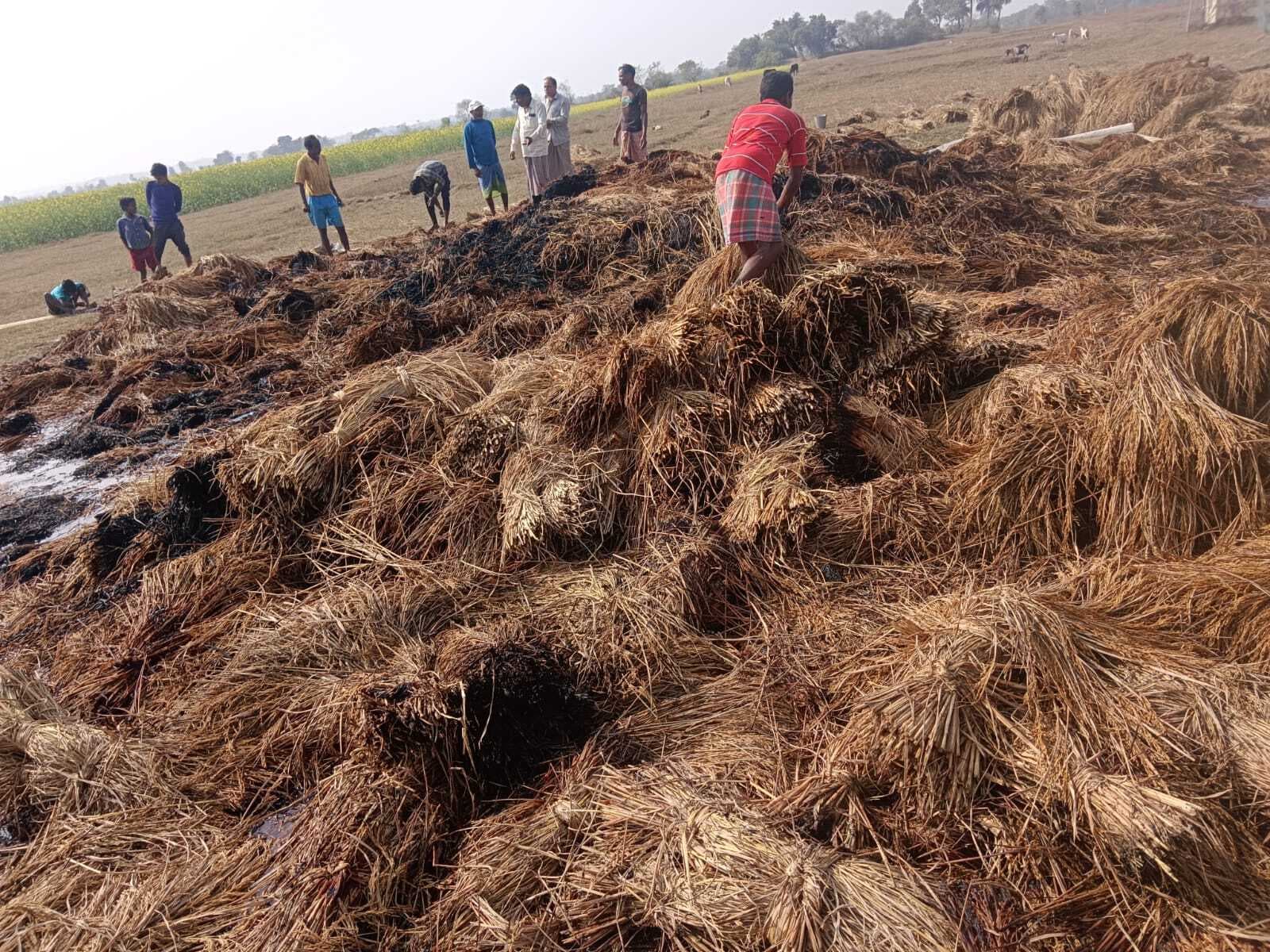 खलिहान में लगी आग, 50 हजार का धान जलकर राख