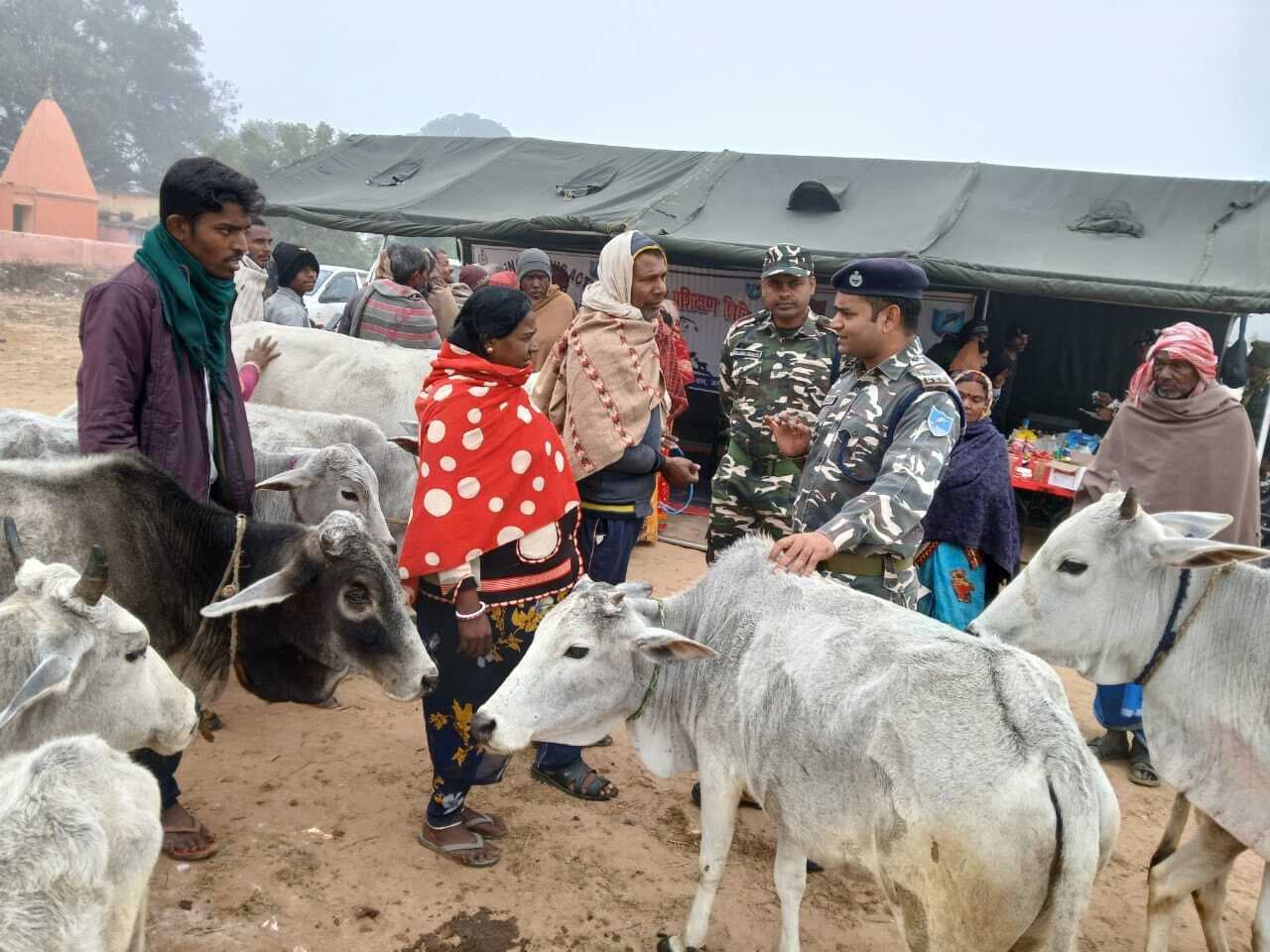 एसएसबी ने रोपावेल में लगाया शिविर, 53 मवेशियों की हुई जांच