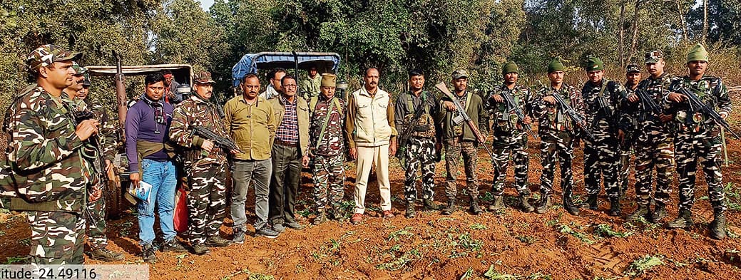 Gaya News : कुंदरी जंगल में 3.42 एकड़ में लगी अफीम की फसल की गयी नष्ट