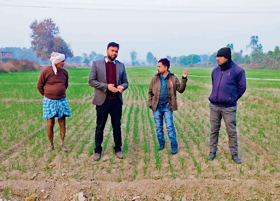 Siwan News : जिले के किसान तैयार कर रहे गेहूं के प्रमाणित बीज