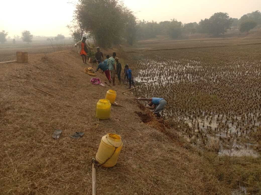 मकर संक्रांति पर आदिवासी समाज ने शिकार खेलकर मनाया जतरा
