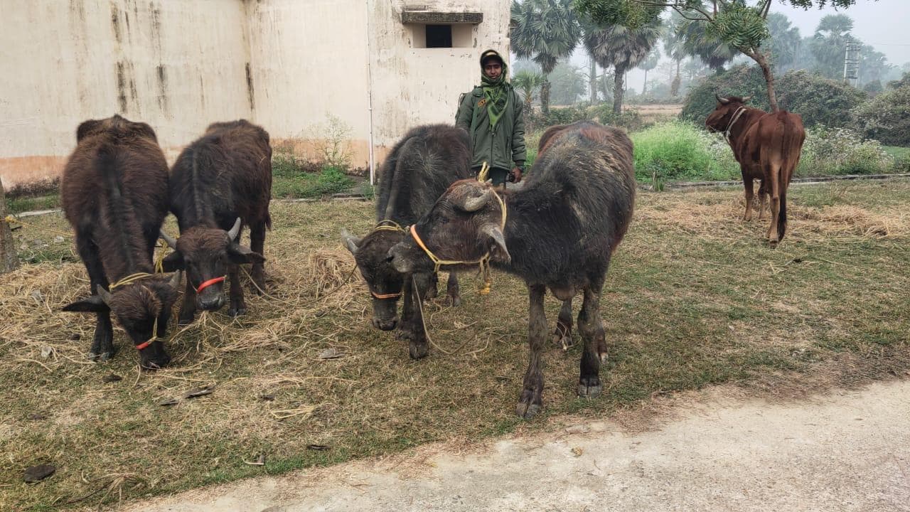 बहादुर महिला जवान ने हथियारबंद मवेशी तस्करों को खदेड़ा