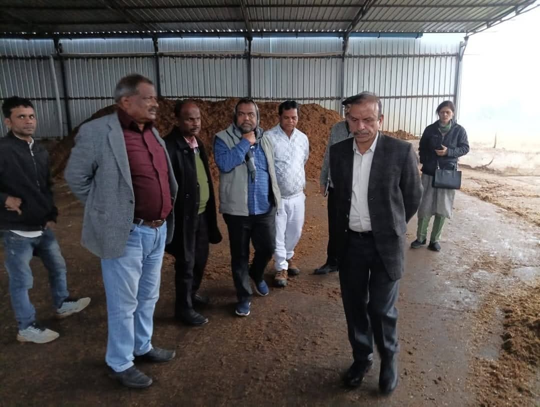 मशरूम उत्पादन में महिलाओं की भागीदारी अहम : निदेशक