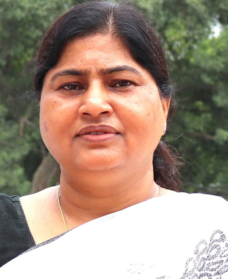 धमदाहा के हरिणकोल में आज से तीन दिवसीय सोहराय मेला की शुरू