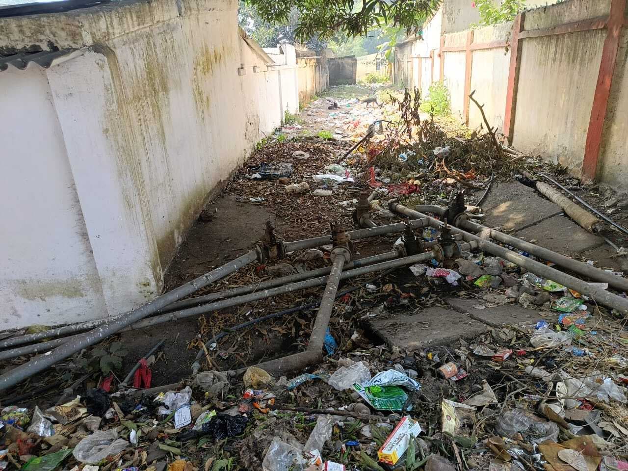कॉलोनियों में नहीं हो रही सफाई