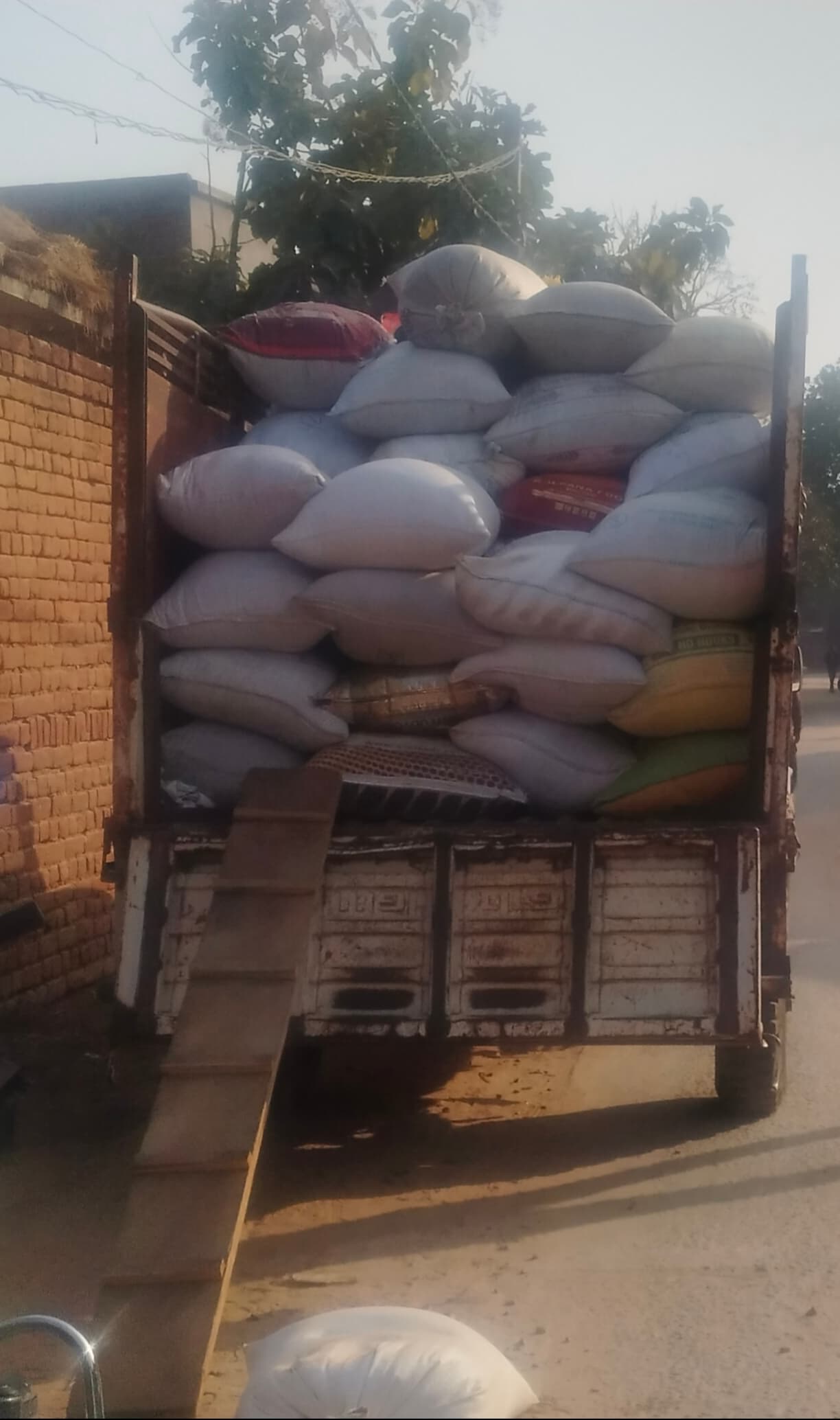 बिचौलिये गांव-गांव घूमकर चला रहे धान का धंधा, लैंप्स पड़ा मंदा