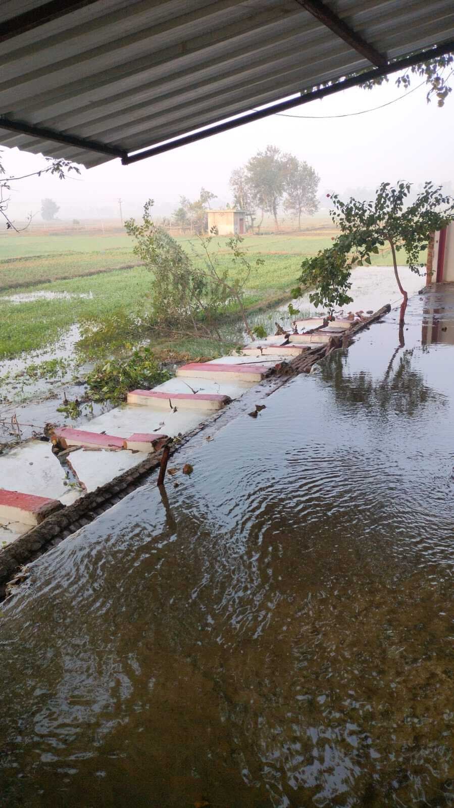 दुल्हिनबाजार में नहर का तटबंध टूटने से सैकड़ों बीघे की फसल डूबी