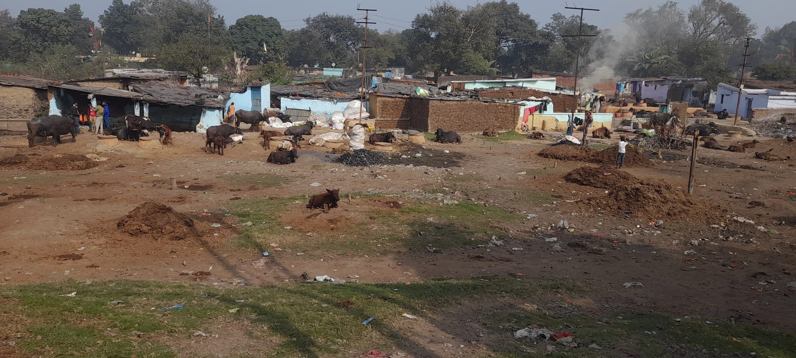 Bokaro News : फुसरो के एमपीआइ मैदान पर अतिक्रमणकारियों का कब्जा