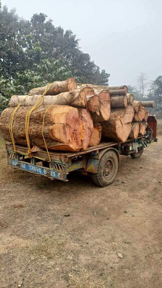 वन विभाग की टीम ने 12 बोटा मिश्रित लकड़ी किया जब्त
