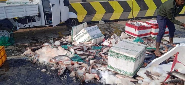 पुल पर पलटी मछली लदा ऑटो