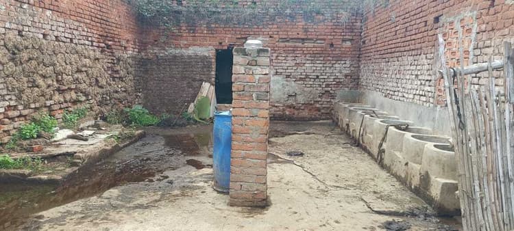 पैक्स गोदाम बना गौशाला और सीमेंट का गोदाम