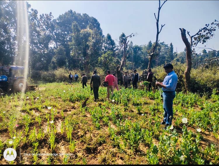 हर हाल में अफीम की अवैध खेती करने वाले जायेंगे जेल : डीसी