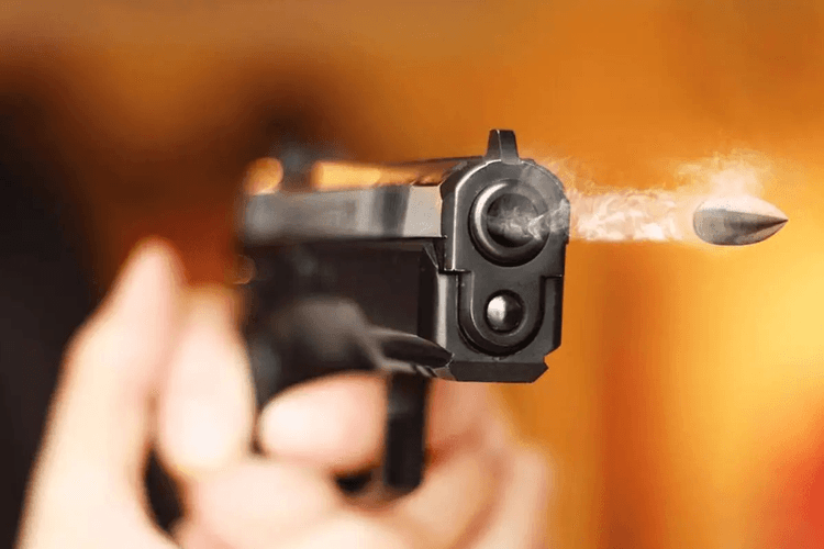 Muzaffarpur News: मां को डॉक्टर से दिखाने ले जाने वाला था बेटा, इससे पहले अपराधियों ने गोली मारकर की हत्या