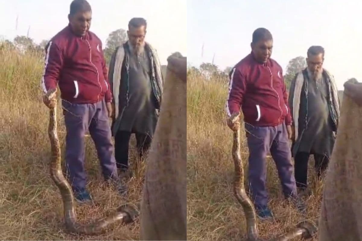 Bihar News: बगहा के खेल मैदान में अचानक आया 12 फीट लंबा अजगर, लोगों में मची खलबली, देखें वीडियो