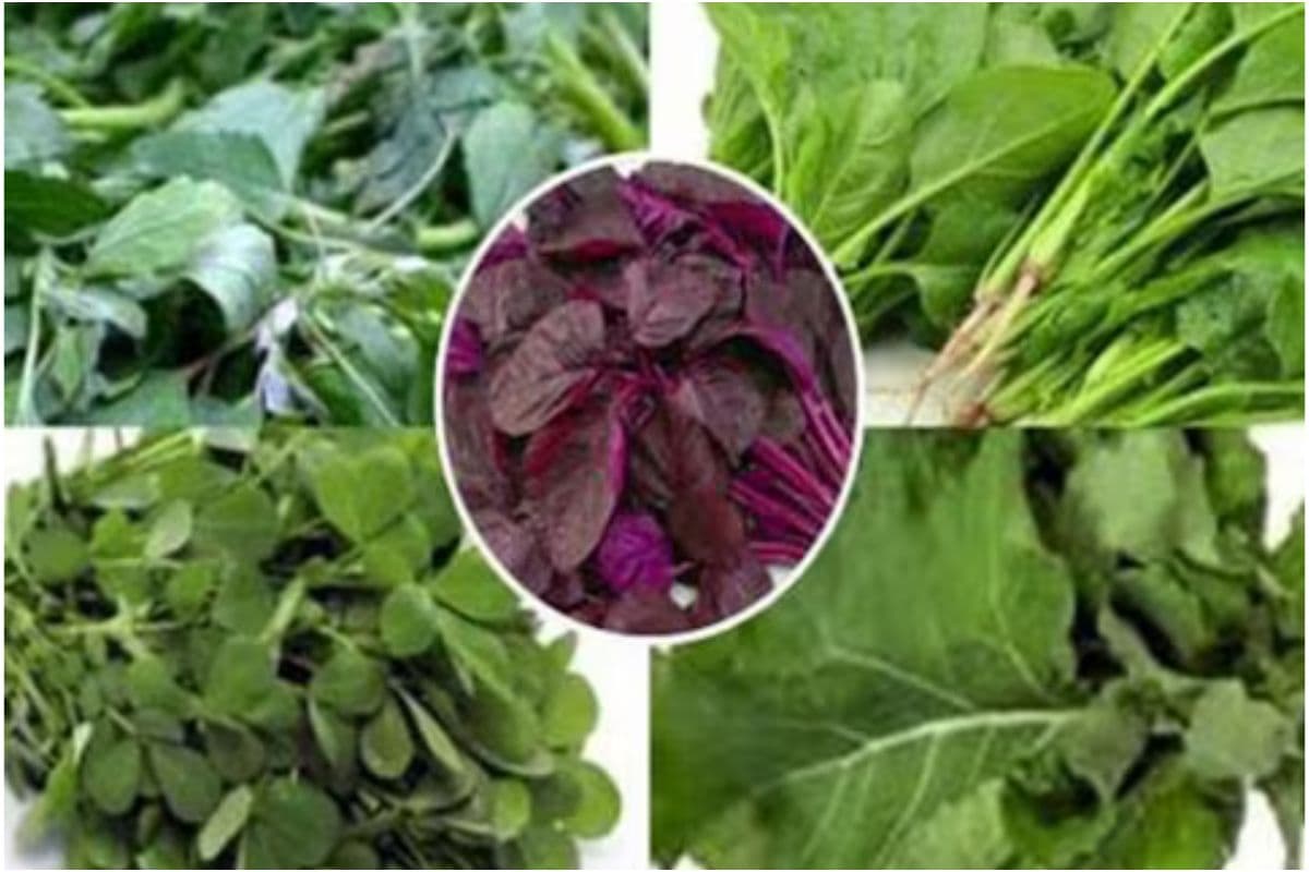 Healthy Vegetables for Winter : सर्दी के मौसम में फिट रहने के लिए इन सब्जियों को करें अपनी डाइट में शामिल