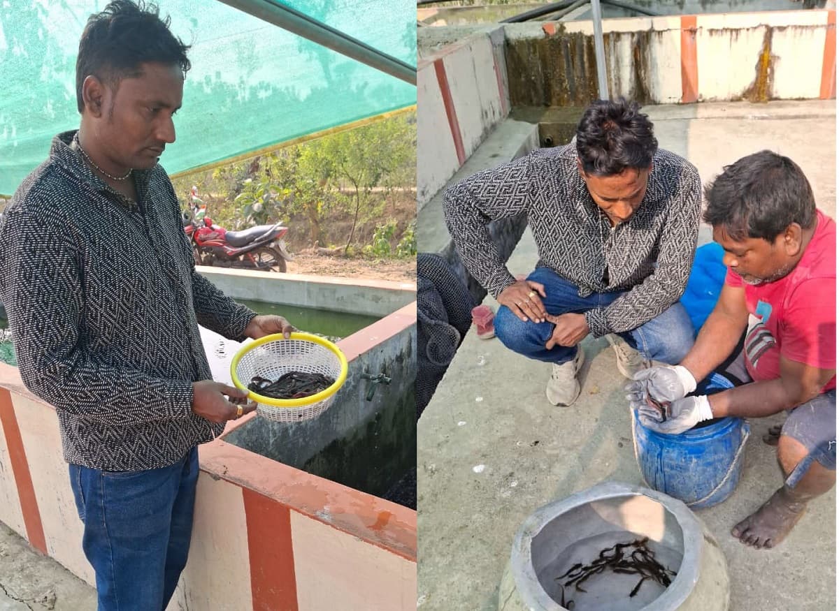 भागलपुर में शुरू हुआ रंगीन मछलियों का उत्पादन, मिलने लगे झारखंड से ऑर्डर