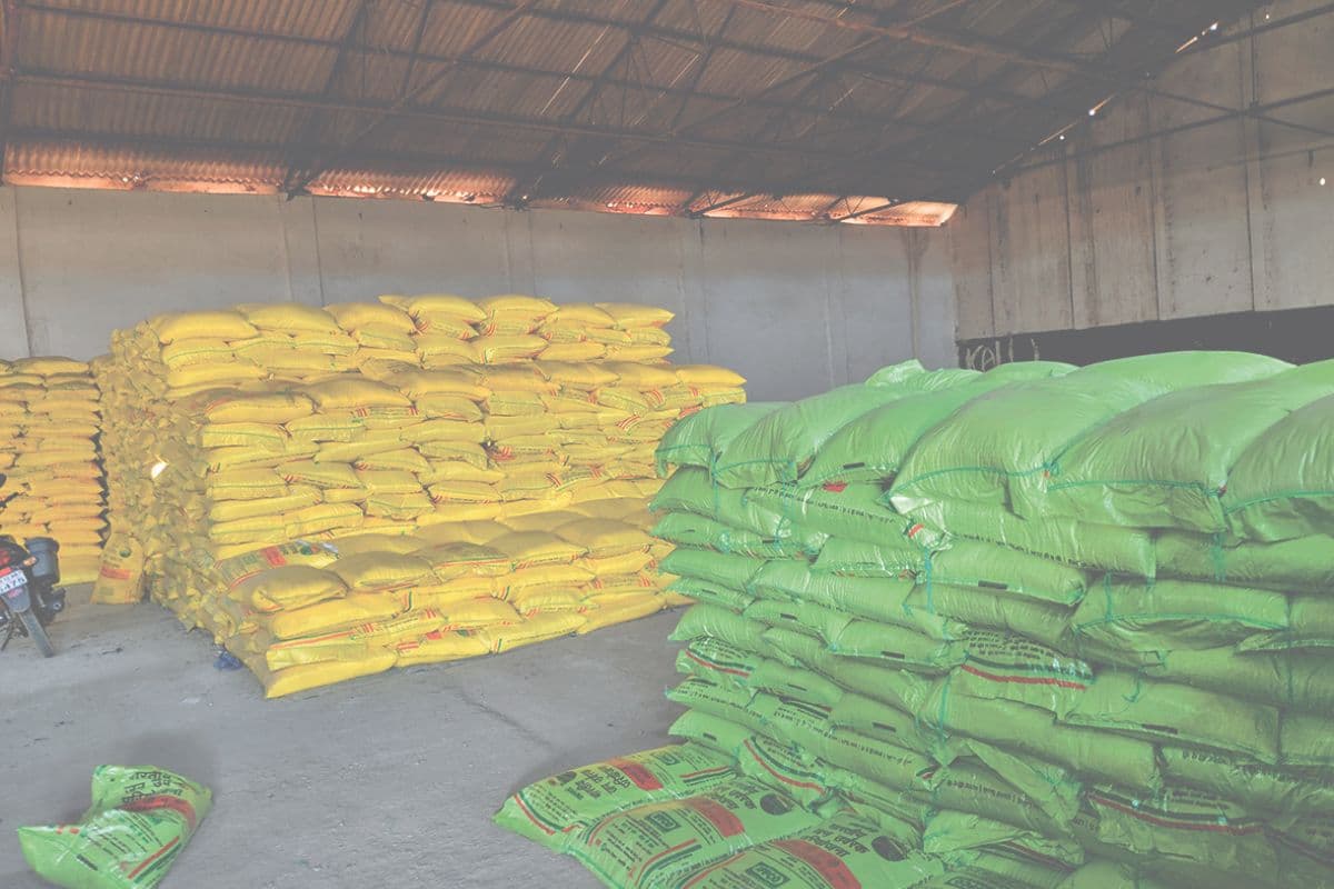 Bihar News: बिस्कोमान में डेढ़ सप्ताह से यूरिया का स्टॉक खत्म, जानें खाद को लेकर क्या बोल रहे जिम्मेदार अधिकारी