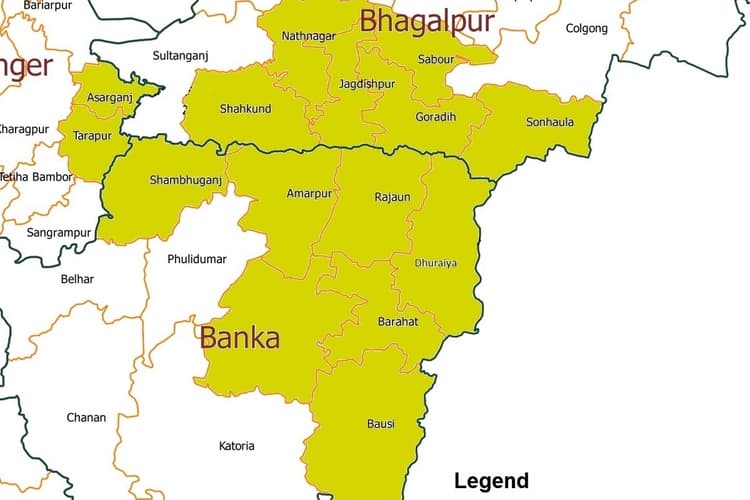 कतरनी के बाद अब इस धान को भी जीआई टैग दिलाने की तैयारी शुरू, इन जिलों में होता है इसका उत्पादन