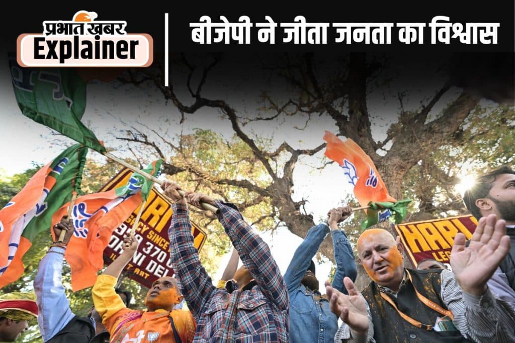 Bjp Celebration