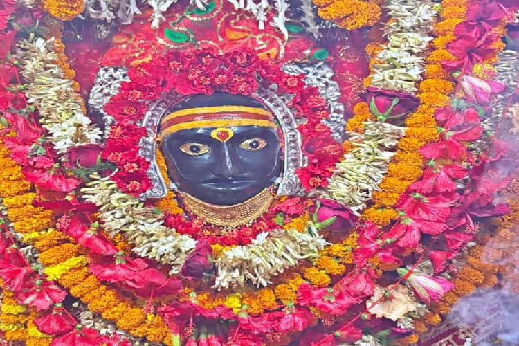 Magh Gupt Navratri 2025: थावे में मां सिंहासनी के दरबार में श्रद्धालुओं का लगा तांता, आज ऐसे करें छिन्नमस्ता की पूजा