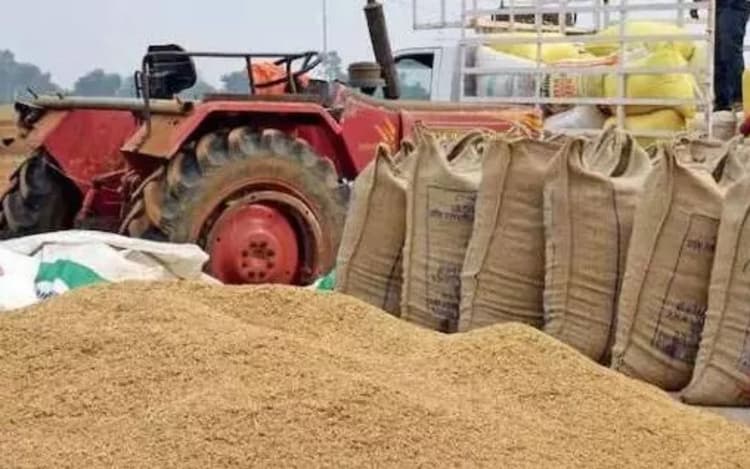 Patna News: सात दिनों में 14 लाख टन धान की करनी होगी खरीद, इन जिलों में बेहद कम हुई खरीदारी