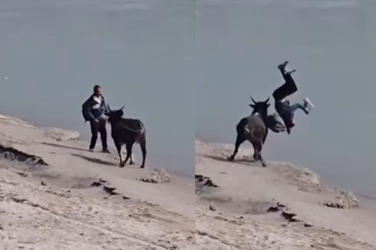 Viral Video: नेकी कर…हवा में उड़! नदी में गिर, देखें वीडियो