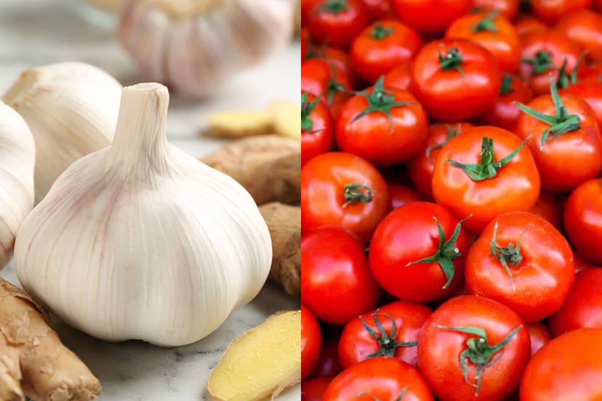 जमशेदपुर के थोक बाजार में लहसुन, टमाटर और अदरक का भाव गिरा